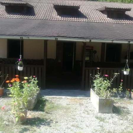 Guest house Ozon Pietroasa (Bihor)