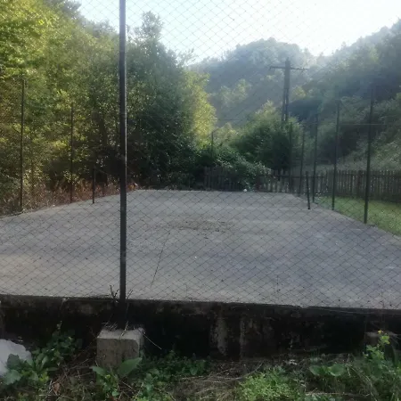 Guest house Ozon Pietroasa (Bihor)