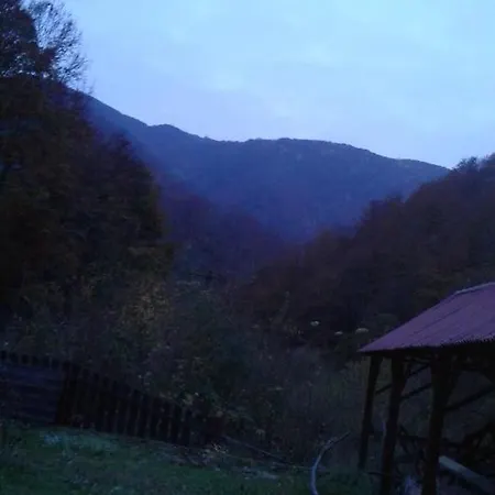 Ozon Guest house Pietroasa (Bihor)