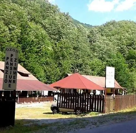Guest house Ozon *