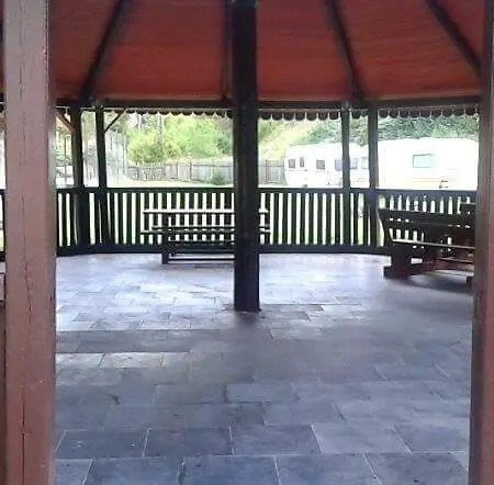 Ozon