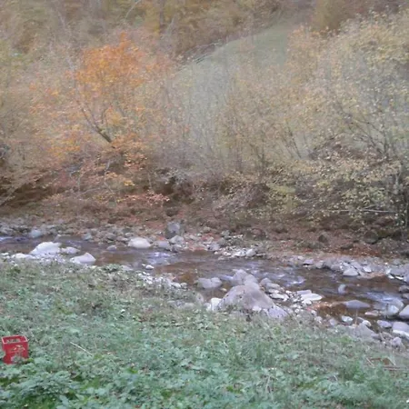 Ozon * Pietroasa (Bihor)